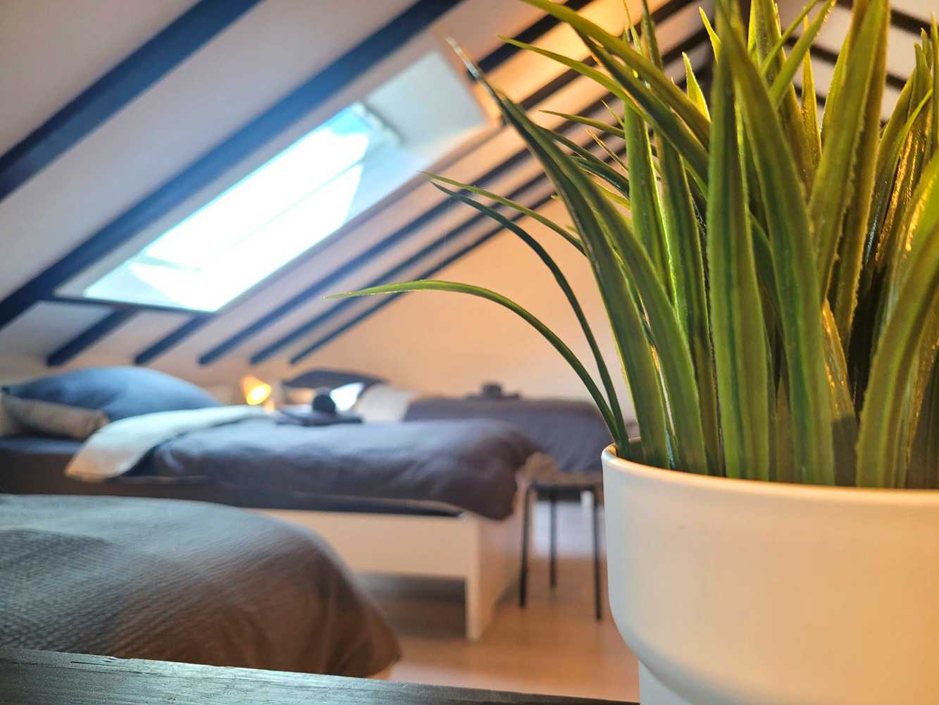 Monteurzimmer: Schlafzimmer, HomeRent Unterkunft in Gedern - HomeRent in Gedern, Brachttal uvm.