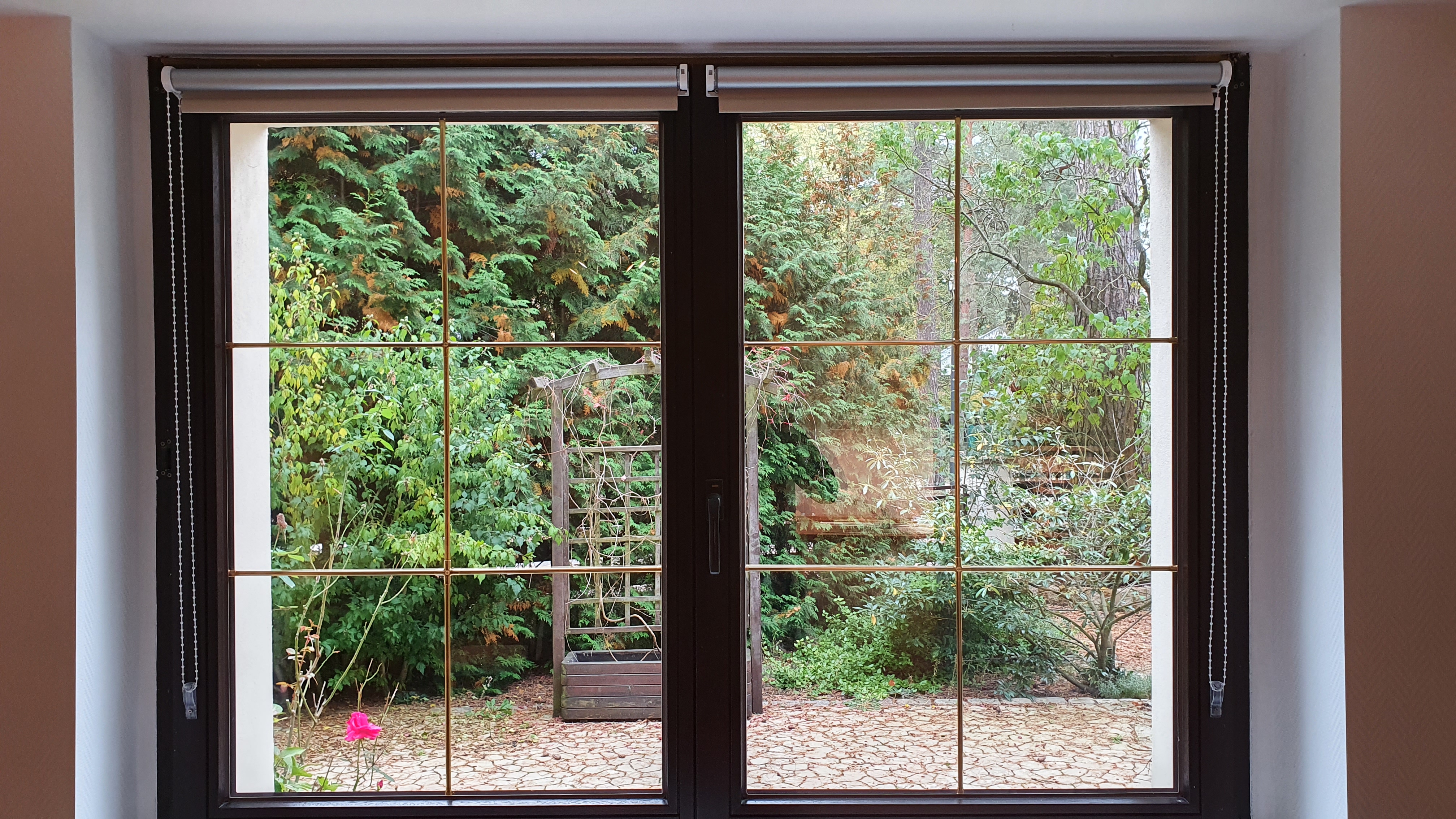 Monteurzimmer: Blick aus dem Fenster - Appartement 2 in Waldesruh ab 3 Monaten