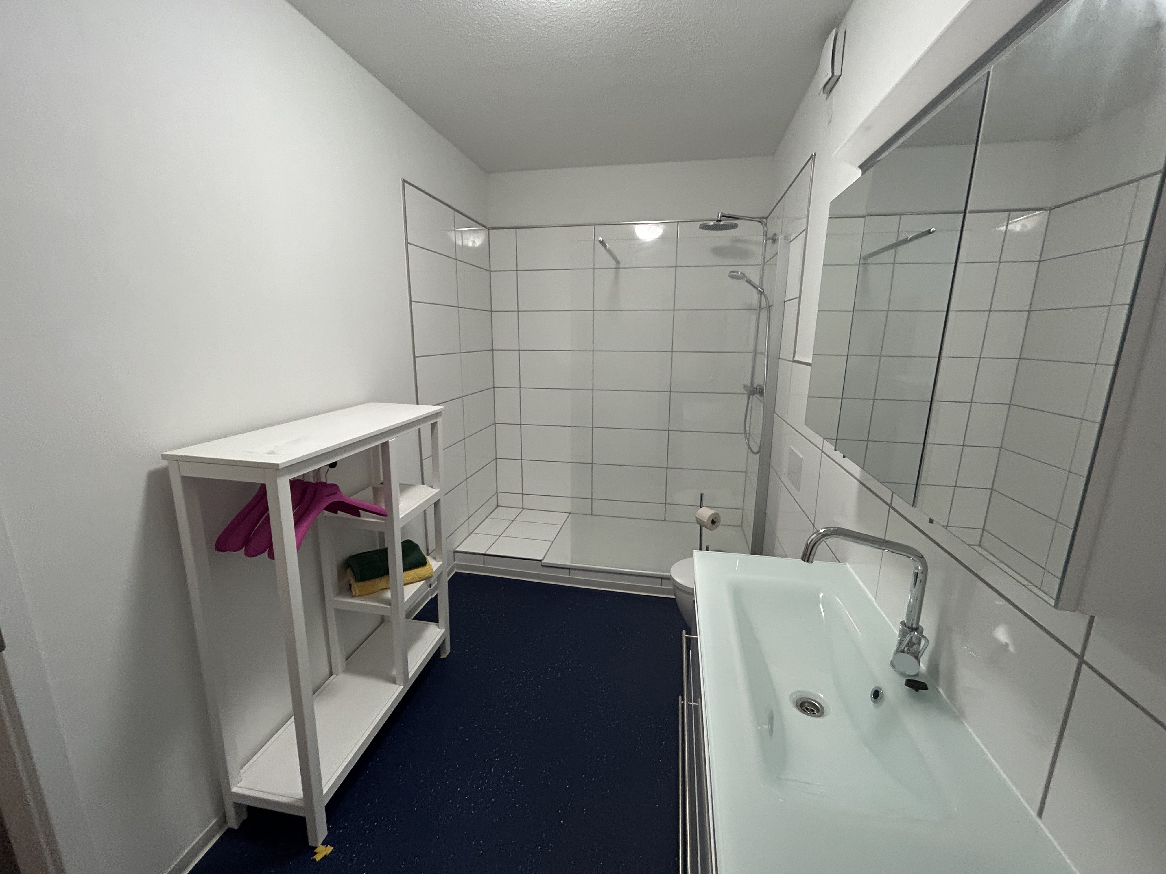 Monteurwohnung - WLAN - Teutoburger Wald - Badezimmer  - Wohnung 5 Haus Pielsticker 