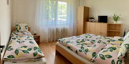 Monteurwohnung - WLAN - Südmährische Region - Hrusovanek