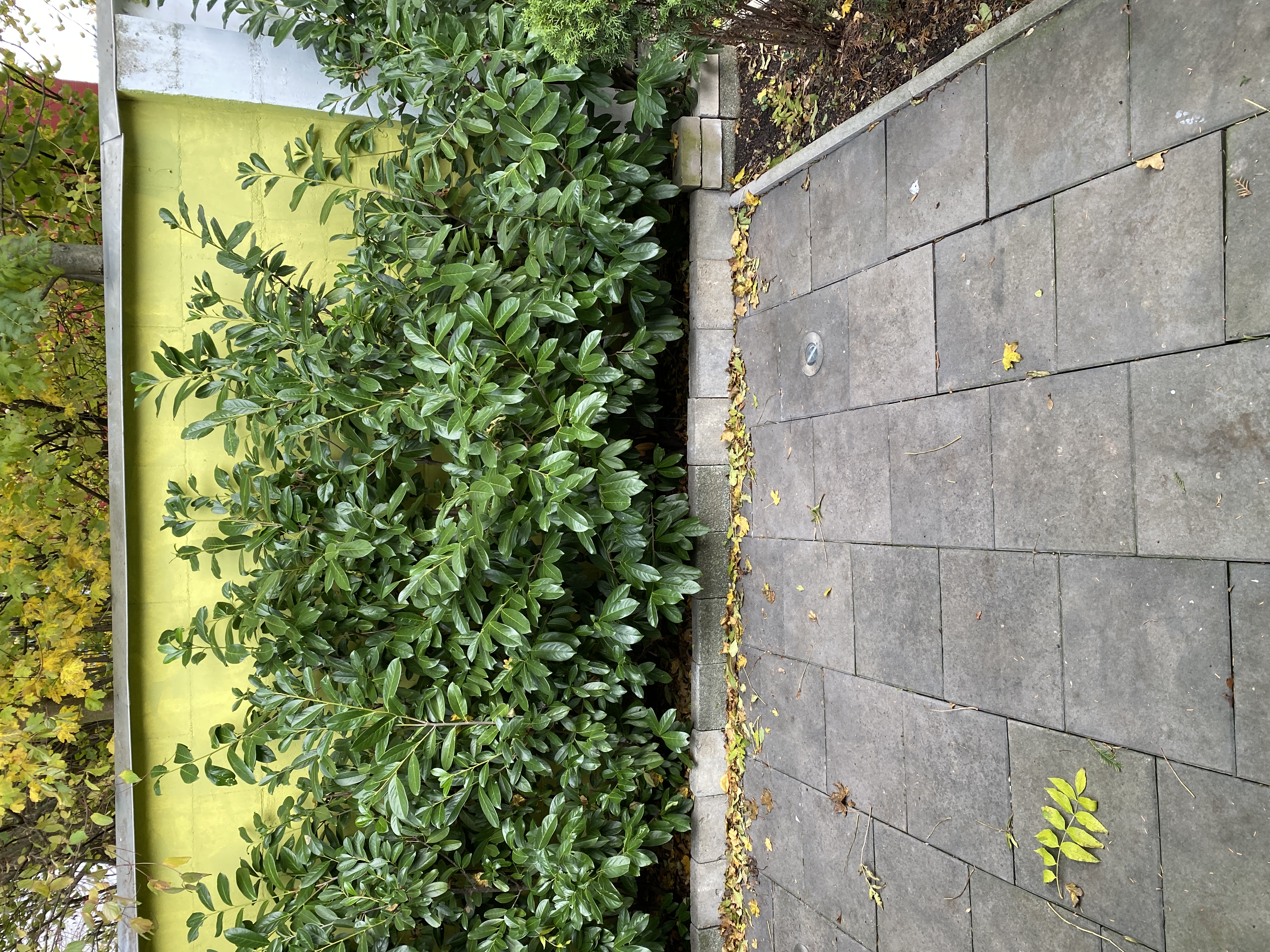 Monteurzimmer: Apartment Frankfurt Preungesheim 