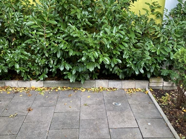 Monteurzimmer: Apartment Frankfurt Preungesheim
