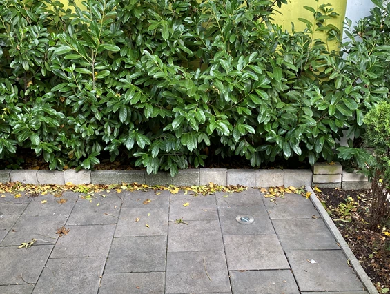 Monteurzimmer: Apartment Frankfurt Preungesheim