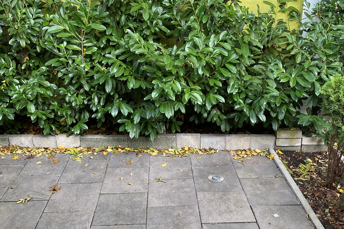 Monteurzimmer: Apartment Frankfurt Preungesheim