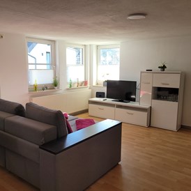 Monteurzimmer: Wohnzimmer - Apartment Sauerland