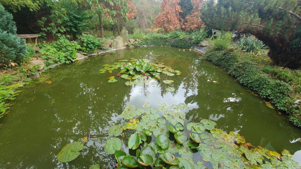 Monteurwohnung - Bettwäsche: Bettwäsche inklusive - McGoodnight, Monteurzimmer in Riesa, ab 14,95 € /Person/Nacht