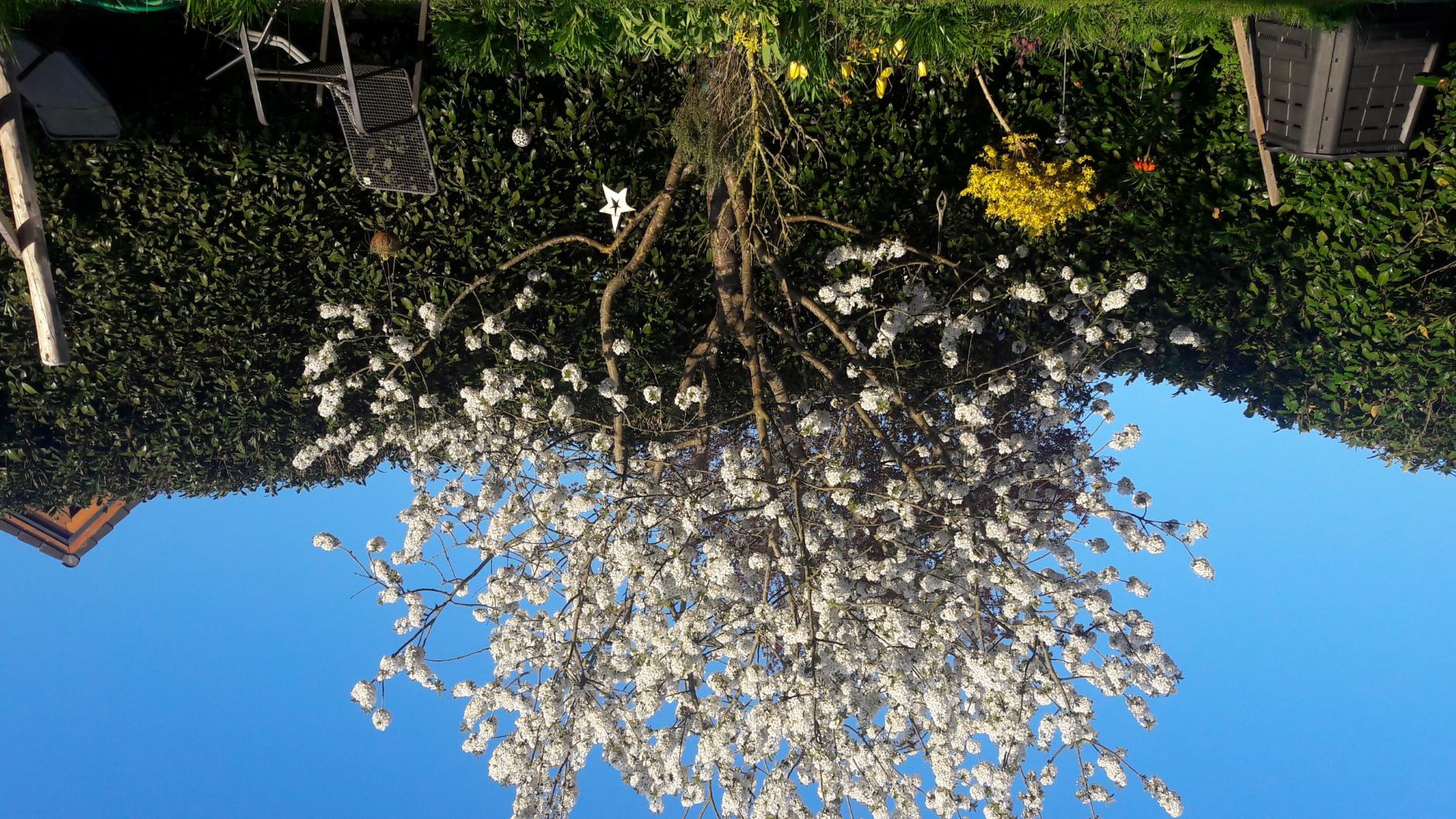 Monteurzimmer: Uwe Kohl