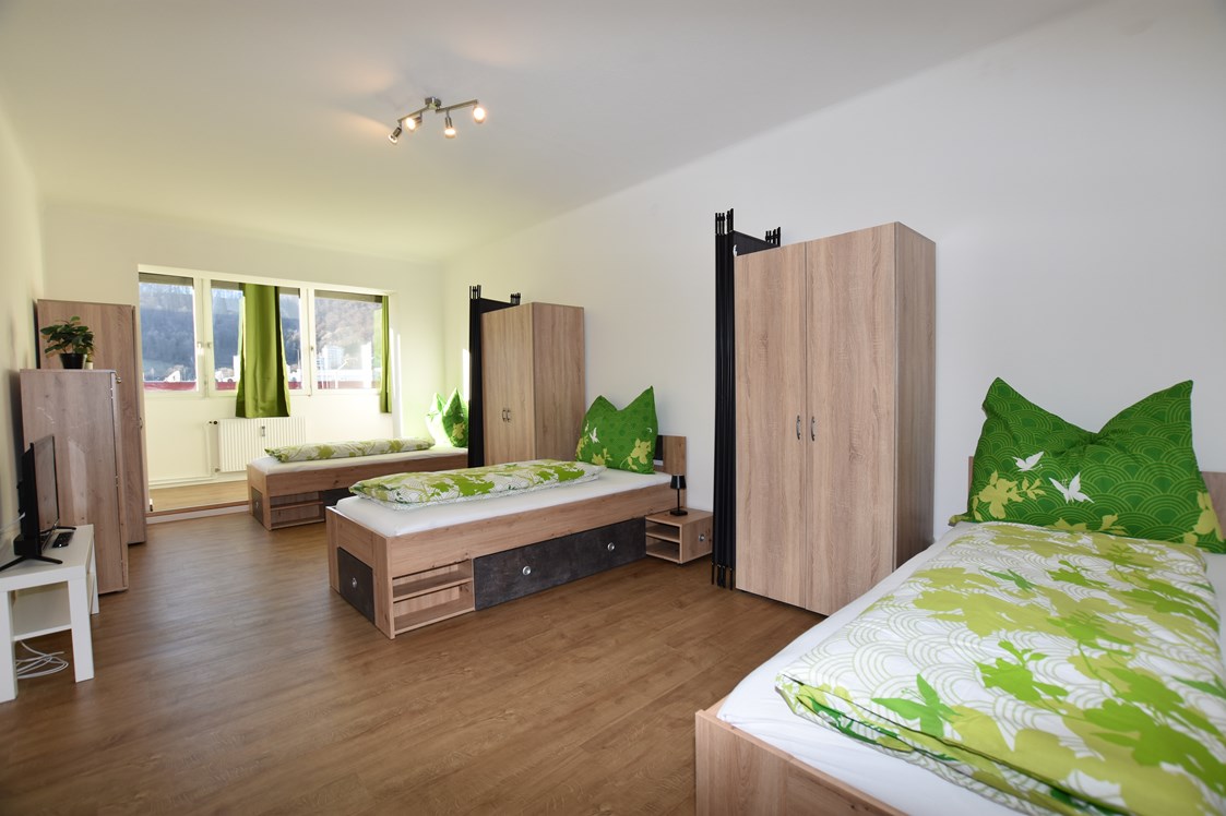 Monteurzimmer: Hier sind 3 Betten mit Sichtschutz - Hammermäßige Wohnung