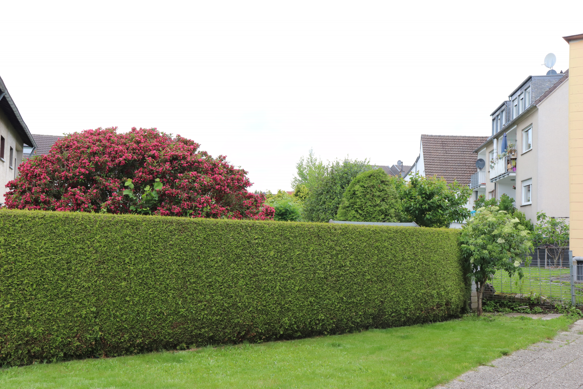 Monteurzimmer: Garten - Fewo Cosar BGL-10 Alpha