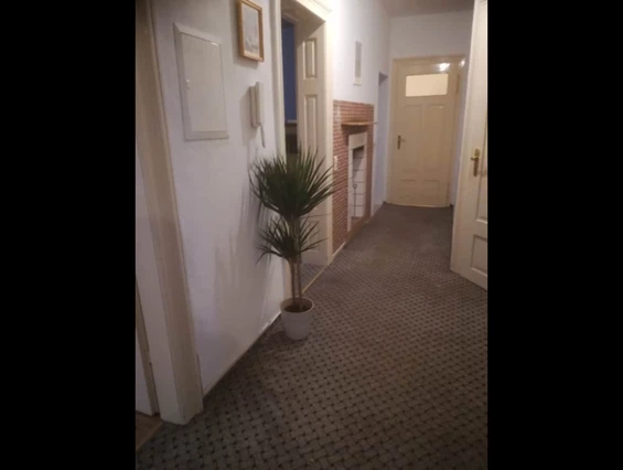 Monteurzimmer: Wonderful apartment in Sachsen! Workers welcome!