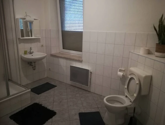Monteurzimmer: Wonderful apartment in Sachsen! Workers welcome!