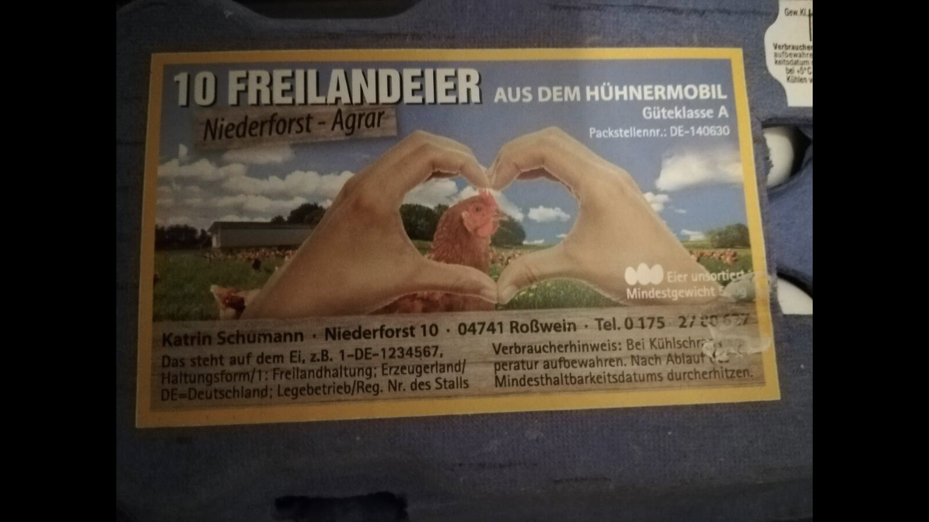 Monteurzimmer: Wonderful apartment in Sachsen! Workers welcome! 