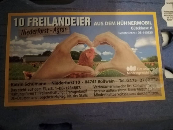 Monteurzimmer: Wonderful apartment in Sachsen! Workers welcome!
