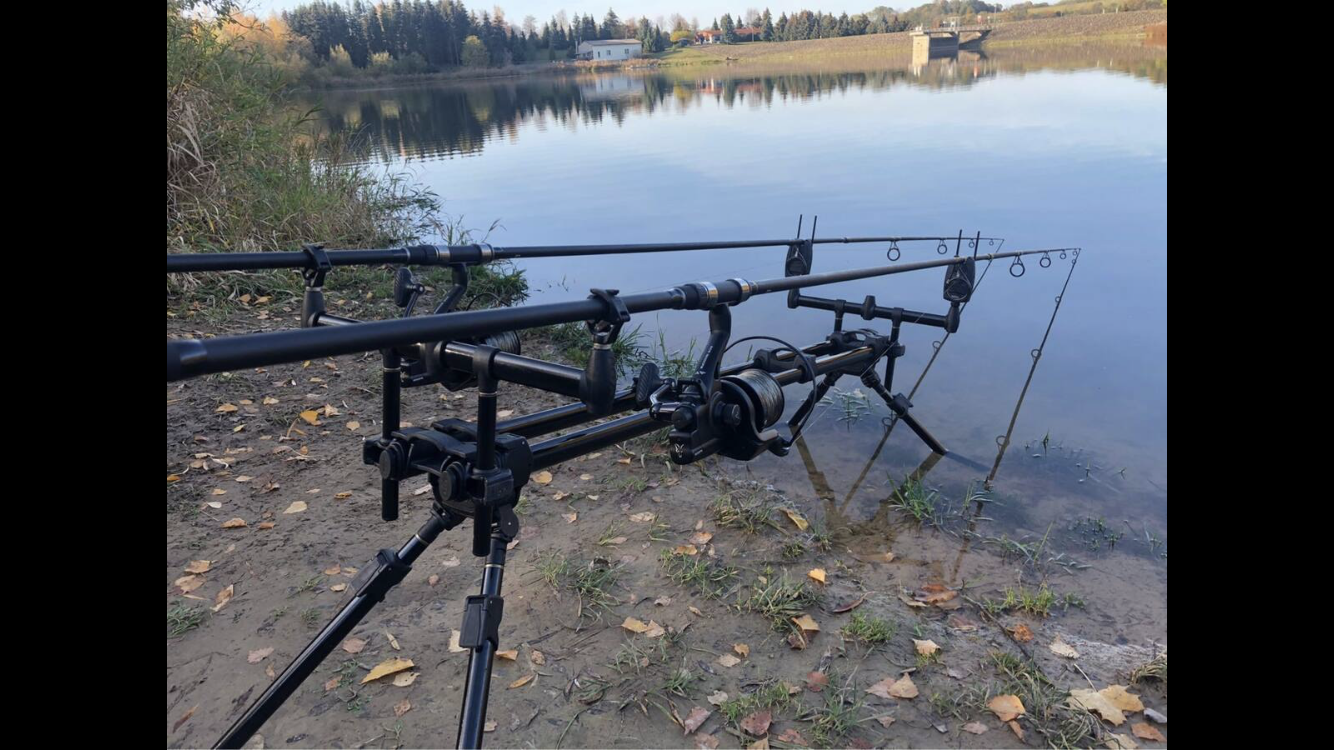 Monteurzimmer: Wonderful apartment in Sachsen! Workers welcome! 