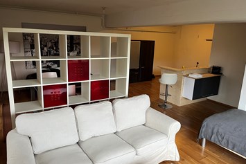 Monteurzimmer: Wohnzimmer mit Couch - Studio für 1 bis 2 Personen mit eigener Küche