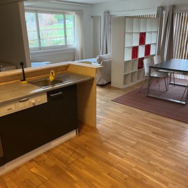 Monteurzimmer: Grosser Wohn Ess und Kochbereich - Studio für 1 bis 2 Personen mit eigener Küche
