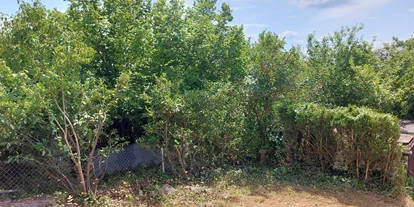 Monteurwohnung - PLZ 74906 (Deutschland) - NK-Zimmervermittlung