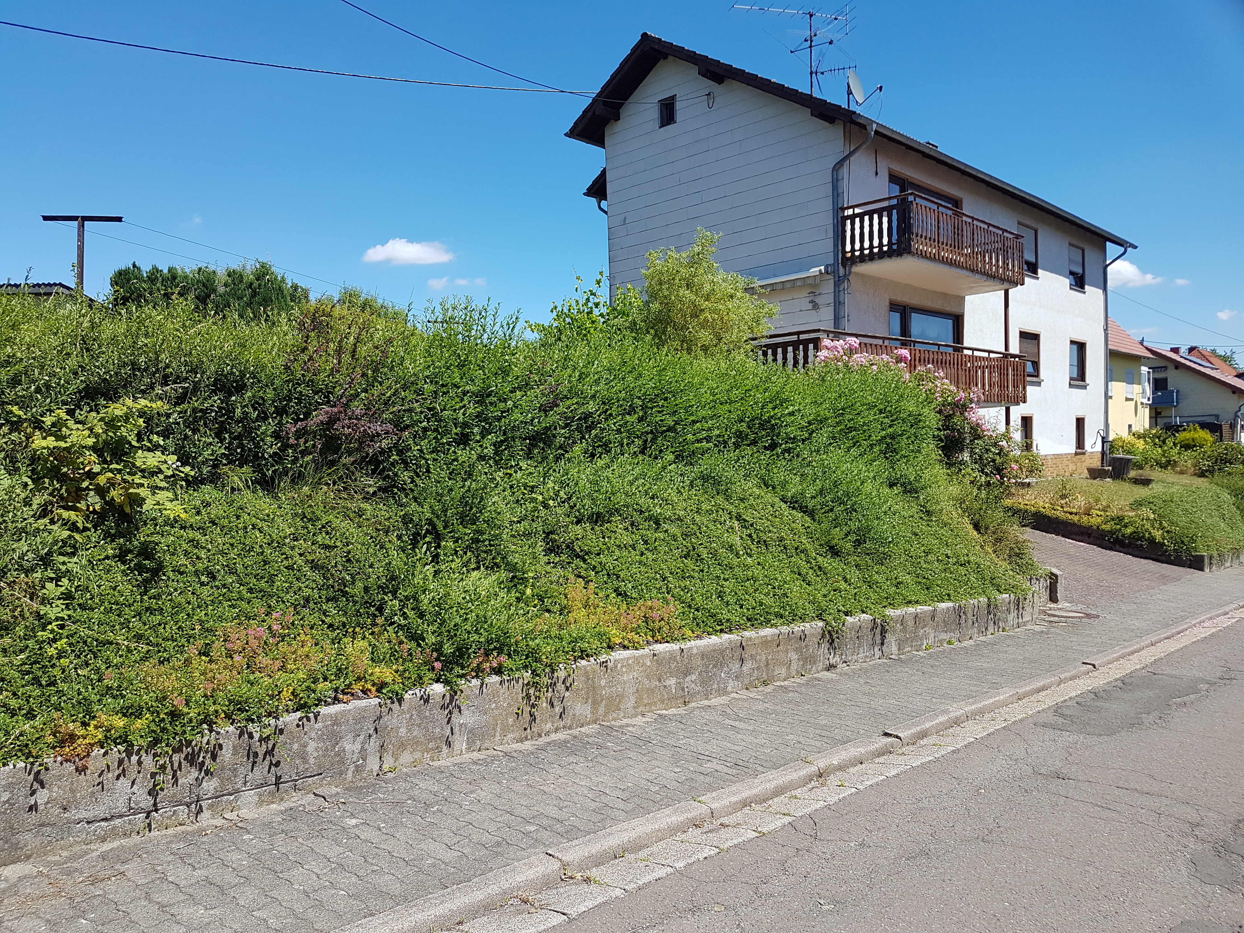 Monteurwohnung - Birkenfeld (Landkreis Birkenfeld) - 2 stöckiges Haus in ruhiger Ortsrandlage. - Christine Laub