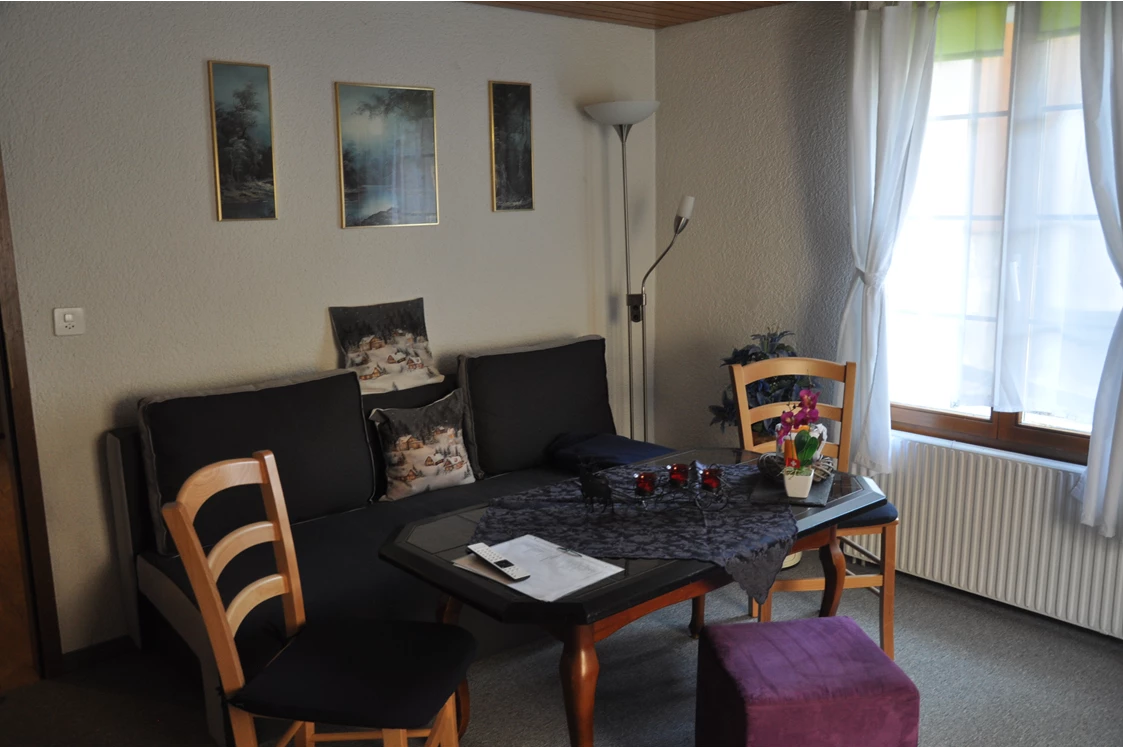 Monteurzimmer: Wohnzimmer Sitzecke Kaminzauber - Ferienwohnung Alter Raaben
