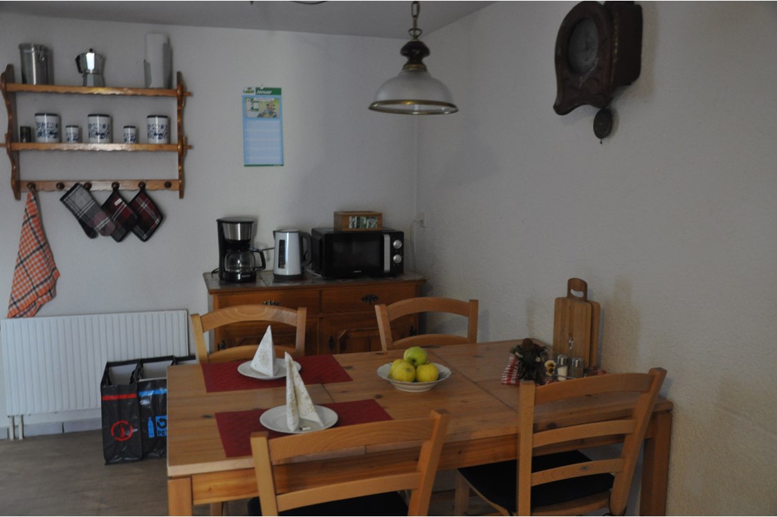 Monteurzimmer: Sitzplatz Küche, Kaminzauber   - Ferienwohnung Alter Raaben