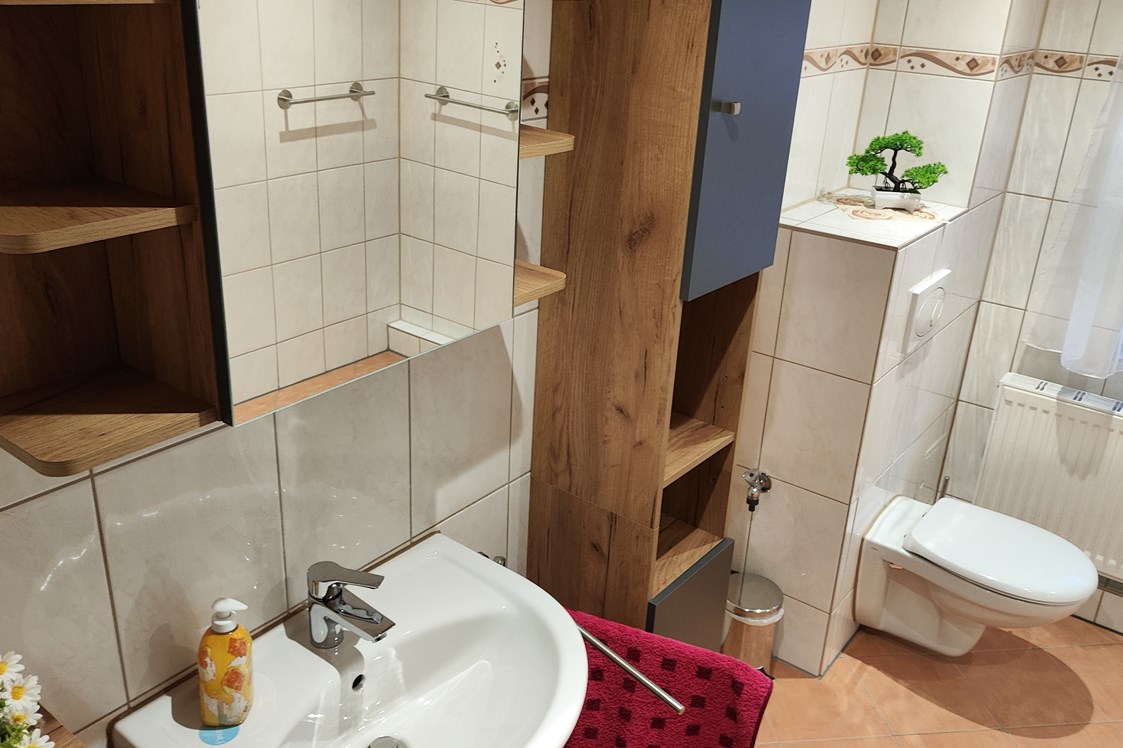 Monteurzimmer: Sanitär - Pension Niederdorf