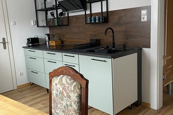 Monteurzimmer: Küche - Daily Room
