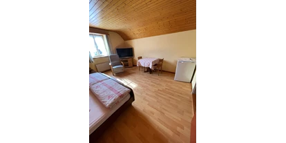 Monteurwohnung - Küche: Küchenmitbenutzung - Greifensee - Landgasthof „zum Steg“