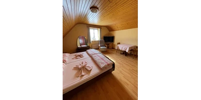 Monteurwohnung - Küche: Küchenmitbenutzung - Greifensee - Landgasthof „zum Steg“