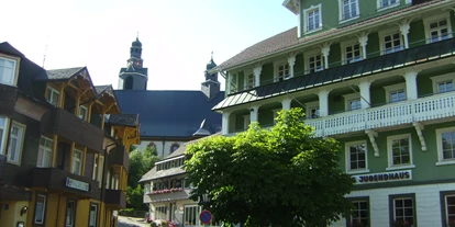 Monteurwohnung - PLZ 79804 (Deutschland) - Das Europäische Gästehaus Todtmoos - Europäisches Gästehaus