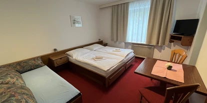 Monteurwohnung - PLZ 6105 (Österreich) - Pension Alpina