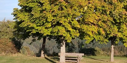 Monteurwohnung - Balkon - Deutschland - Zur Schönen Aussicht