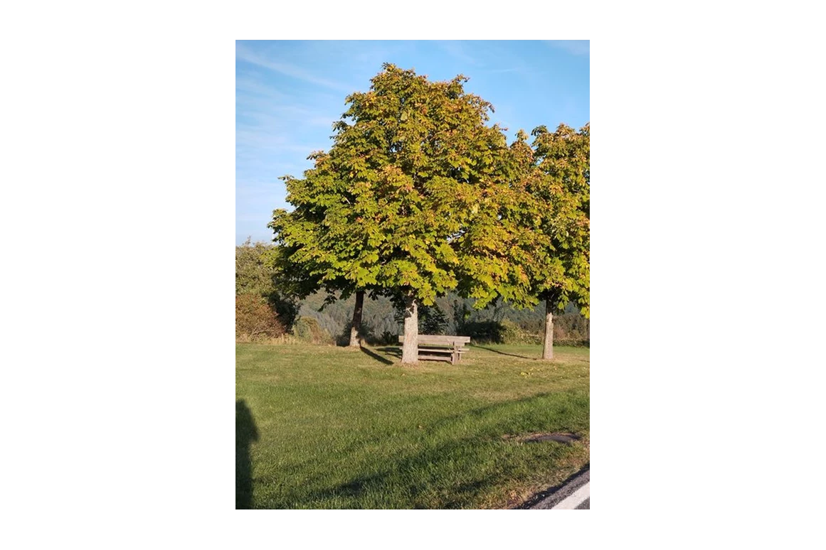 Monteurzimmer: Zur Schönen Aussicht