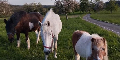Monteurwohnung - Balkon - Deutschland - Zur Schönen Aussicht