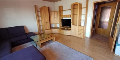 Monteurwohnung - Krautheim (Hohenlohekreis) - Aufenthaltsraum - My-Skypalace Osterburken