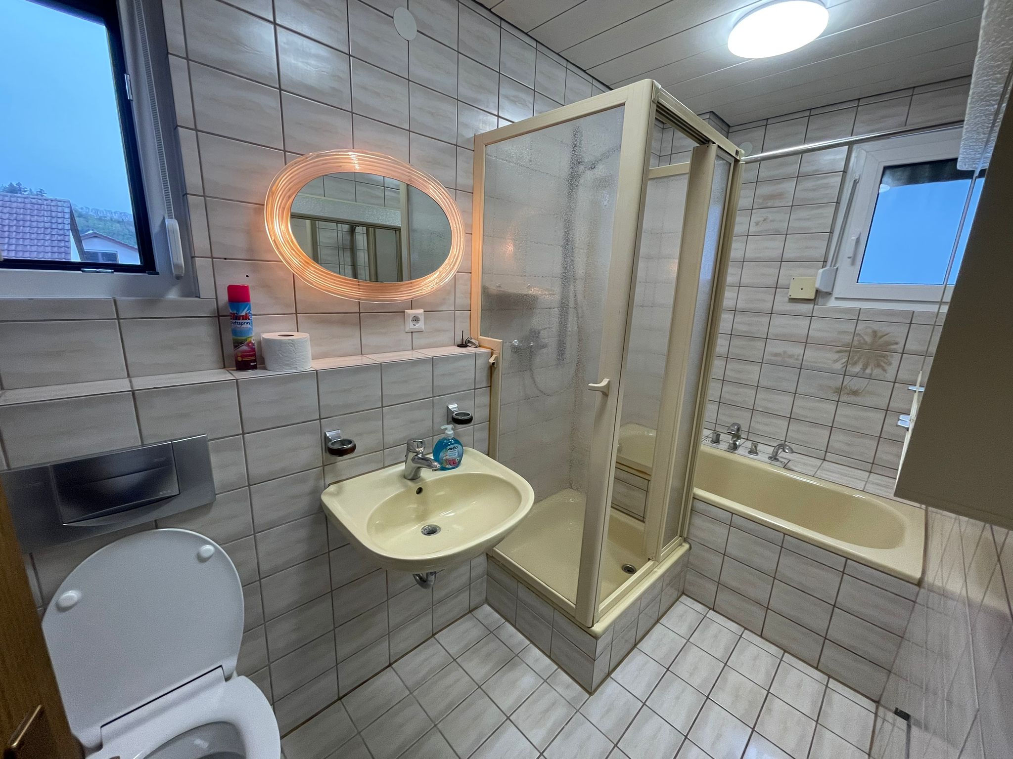 Monteurwohnung - PLZ 74226 (Deutschland) - Badezimmer - My-Skypalace Offenau