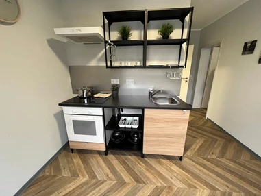 Monteurzimmer: Küche - Stilvolle Apartments am Park-Schönfeld