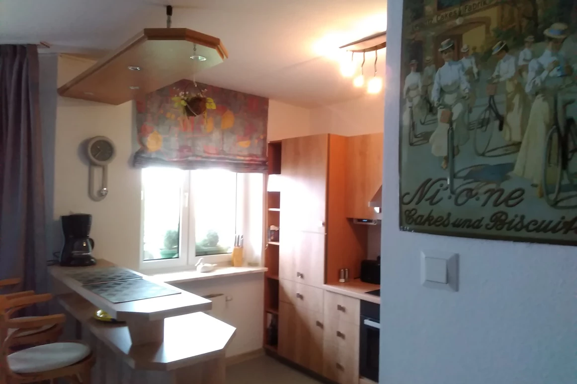 Monteurzimmer: Küche - Monteurzimmer Domotel TM LUX