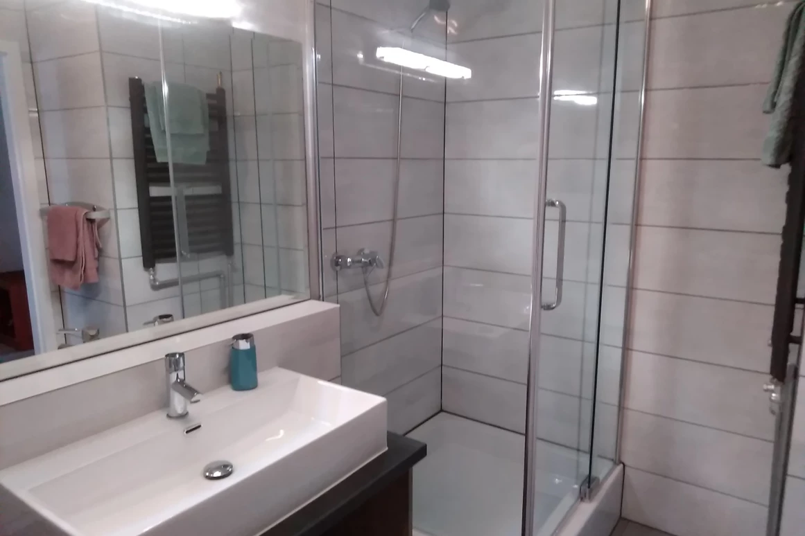 Monteurzimmer: Dusche 1 - Monteurzimmer Domotel TM LUX