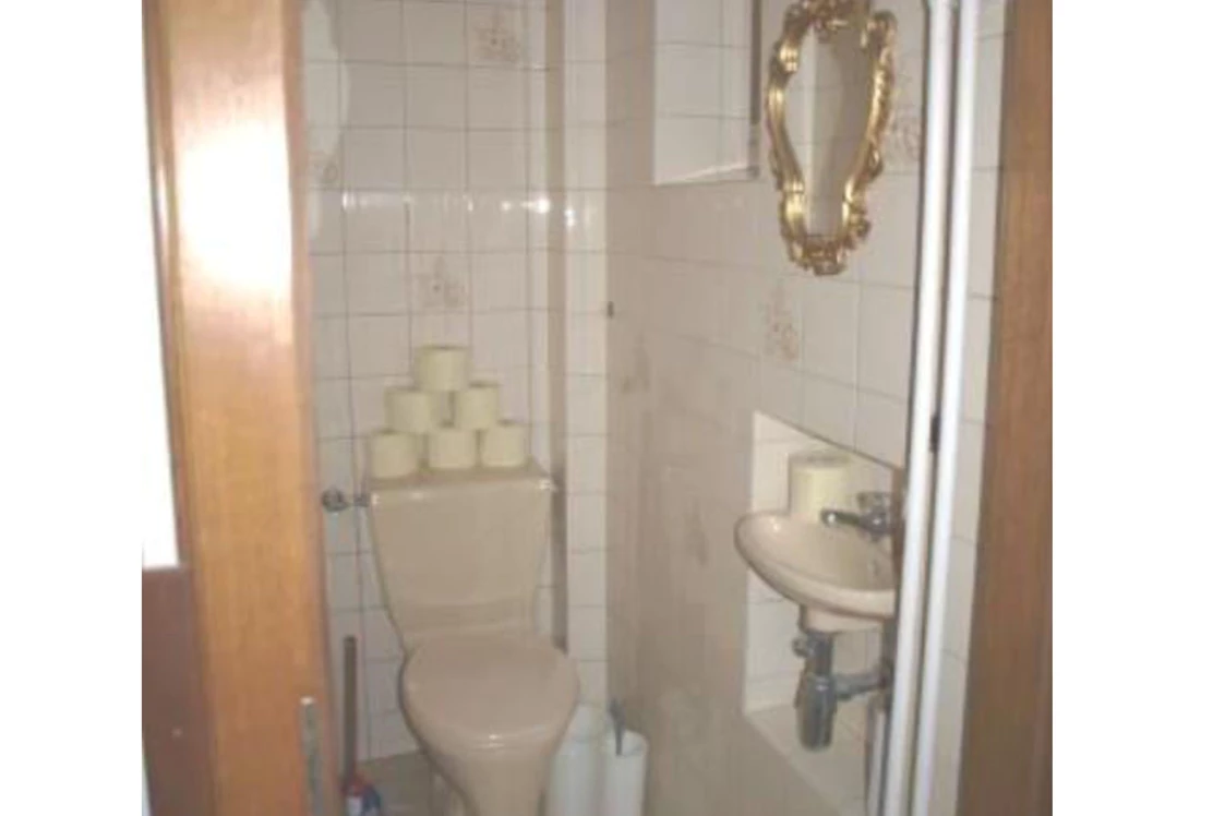 Monteurzimmer: WC - Arbeiterzimmer in Wimpassing/Leitha