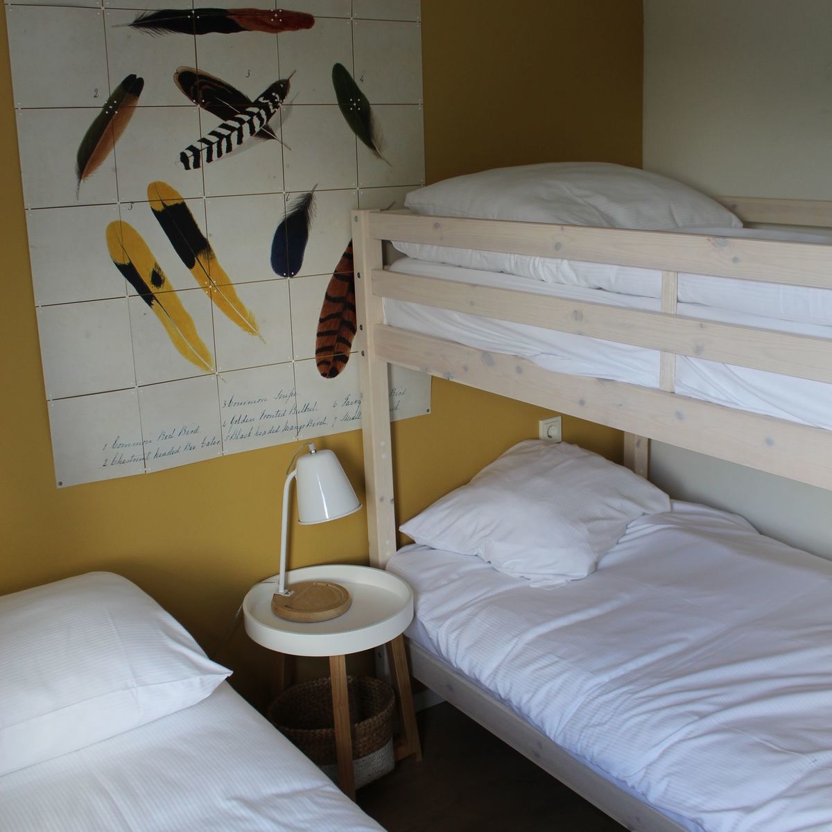 Monteurwohnung - Einzelbetten - Frechen - Monteurzimmer in Köln frei