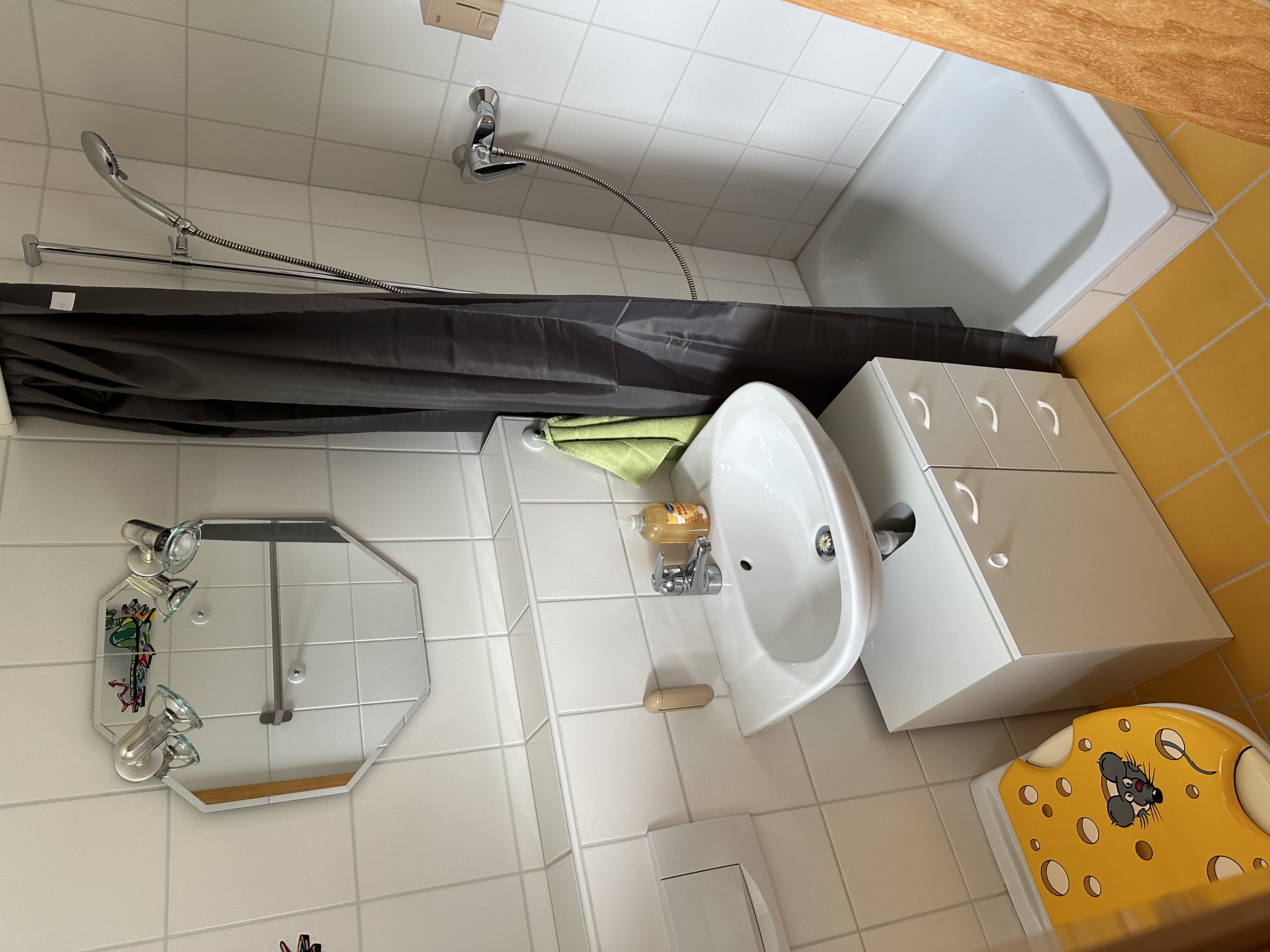 Monteurwohnung - Rheinfelden (Landkreis Lörrach) - Badezimmer klein - JK's Monteurzimmer