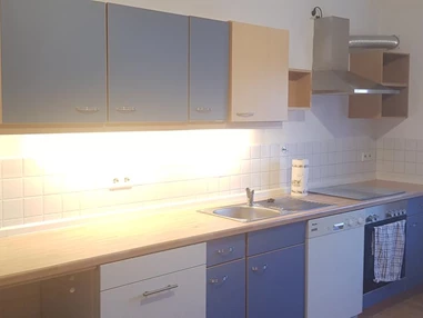 Monteurzimmer: Küche mit E-Herd / Backofen, Abzugshaube, Spülmaschine - Fewo-Harber