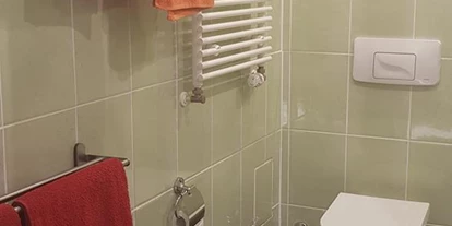 Monteurwohnung - PLZ 31319 (Deutschland) - WC im Bad mit Fensterlüftung - Fewo-Harber