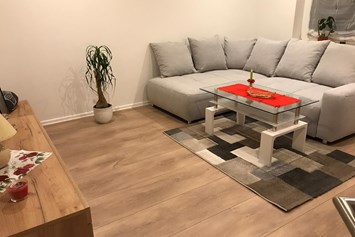 Monteurzimmer: Wohnzimmer mit Couch WHG 2 - Klein aber Fein