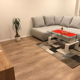 Monteurzimmer: Wohnzimmer mit Couch WHG 2 - Klein aber Fein