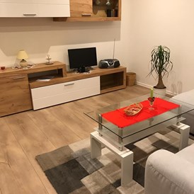Monteurzimmer: Wohnzimmer mit TV WHG 2 - Klein aber Fein