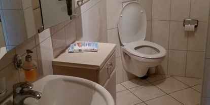 Monteurwohnung - Hund erlaubt - Flusslandschaft Elbe - Badezimmer...Waschbecken und WC. - Ferienwohnung-Bullendorf