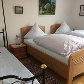 Monteurzimmer: Zimmer mit 2-3 Betten - Ferienwohnung-Dillenburg-Bonsels