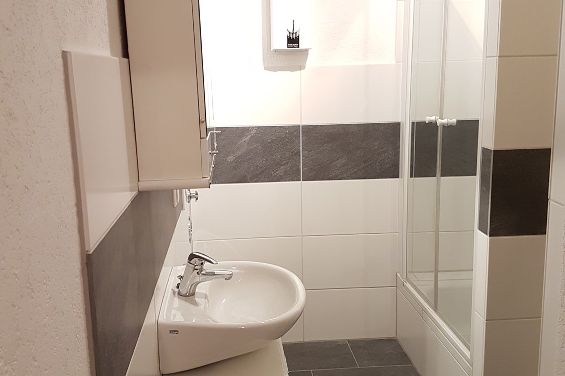 Monteurwohnung: Badezimmer mit Waschbecken, Dusche und WC - Monteurwohnung-Euskirchen - zentrale Lage mit gehobenem Stil