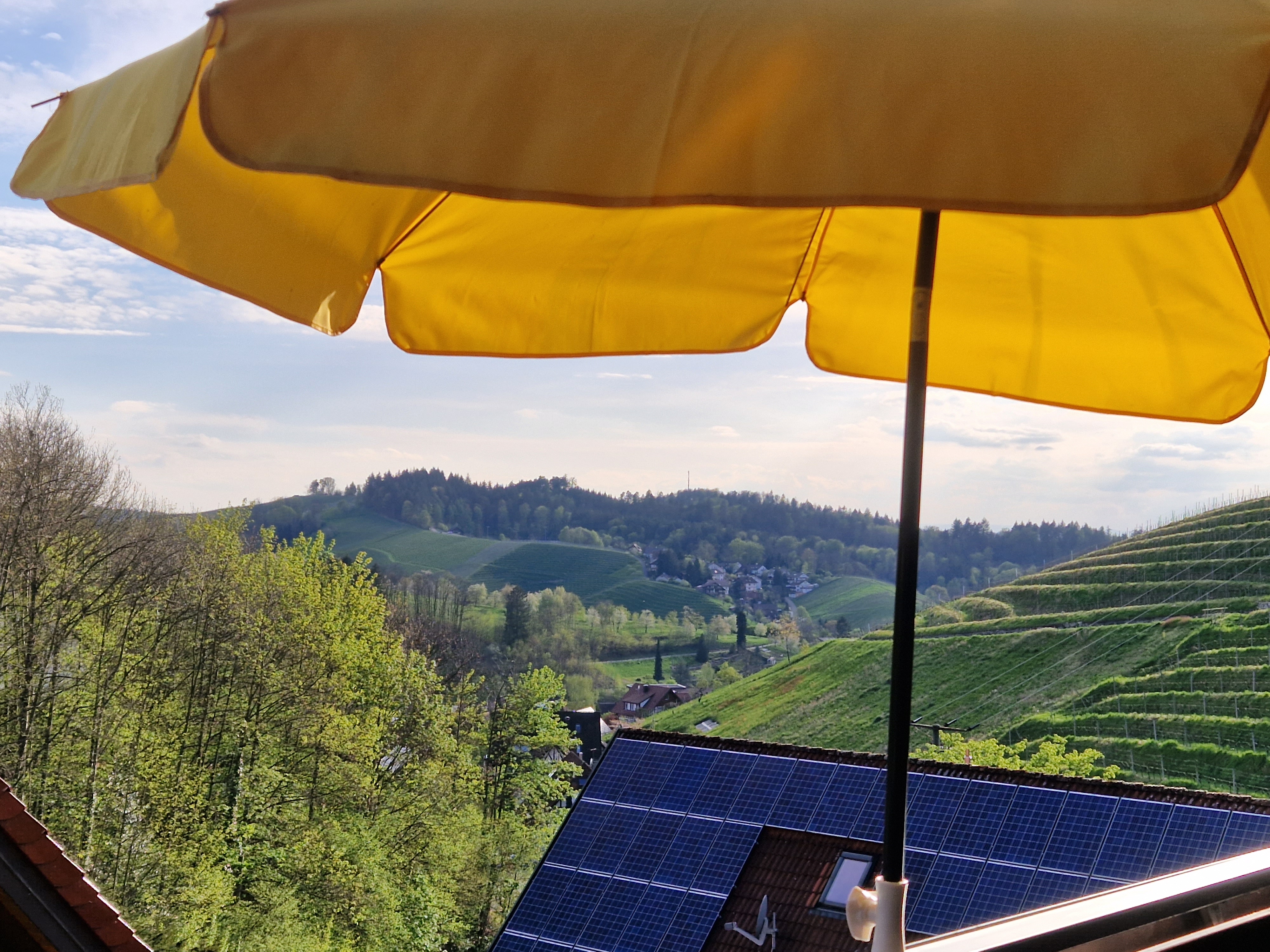 Monteurzimmer: Blick vom Balkon über die Weinberge - Ferienwohnung Heimatliebe 